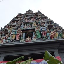 コープラムをアップで撮影