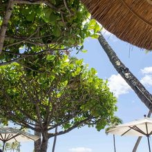 晴れてると気持ちいいです９月の写真追加