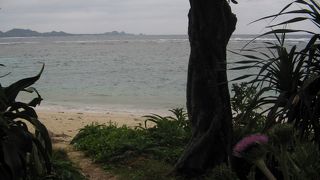 石垣の海はどこも綺麗です