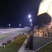 ナイター競馬がきれい。家族で行っても楽しい。