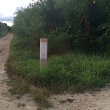 途中ほしのやさんの看板を過ぎてもまだまだ