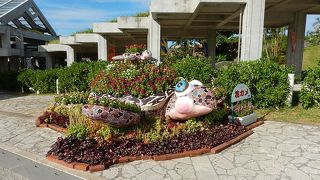 美ら海水族館のある公園