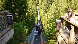 キャピラノサスペンションブリッジ