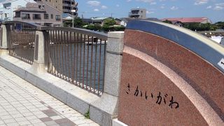 江ノ島で見ました