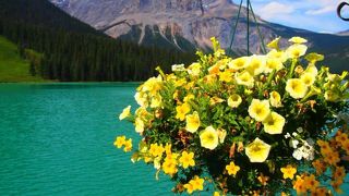 エメラルドグリーンの湖でカヌーを！