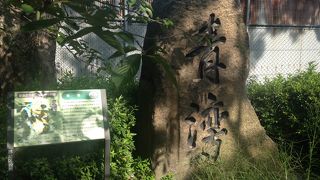 秀吉公お気に入りの場所!!