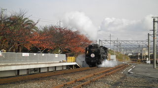 子供を連れていったつもりが…