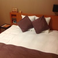 クイーンシングルで広さ十分