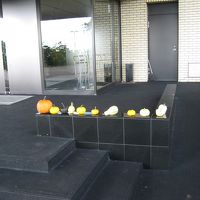 かぼちゃが飾ってありました。