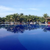 朝の静けさの中のプール