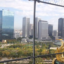 青空とマッチしてます