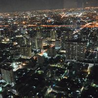 ルーフトップバーからの眺め