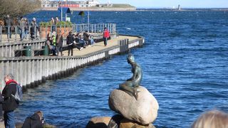 はるばる会いに来ました