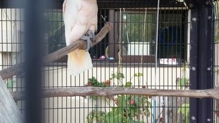 街中にある動物園
