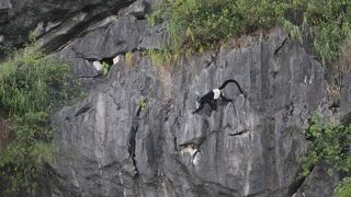 素晴らしい景色！