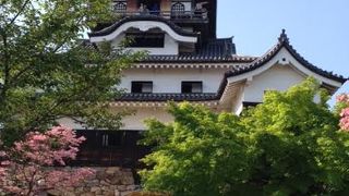 天守閣からの眺めが最高です