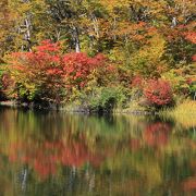 紅葉が素晴らしい