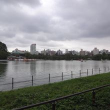 上野公園内不忍池