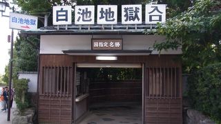 水族館みたいです