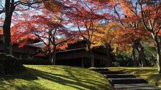 東の紅葉名所No1？