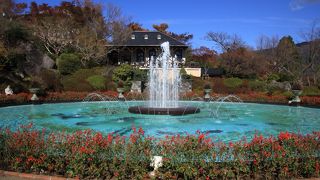 綺麗な公園です。