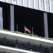 やっと見付けた社旗  (タワーの南側)