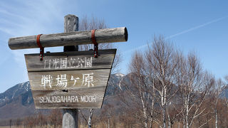 木道が整備されていてハイキングに好適。