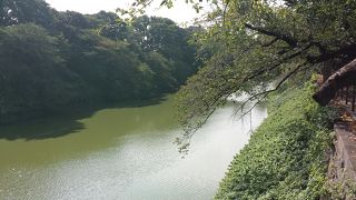 桜の名所。夏は緑が濃い