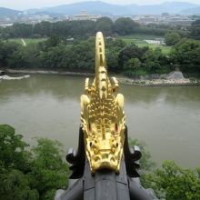 天守閣内部からは、屋根の金鯱を間近に見ることができました