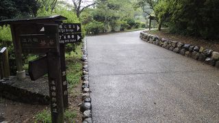 展望台からの風景が美しい