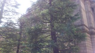 古くて趣きがあります。