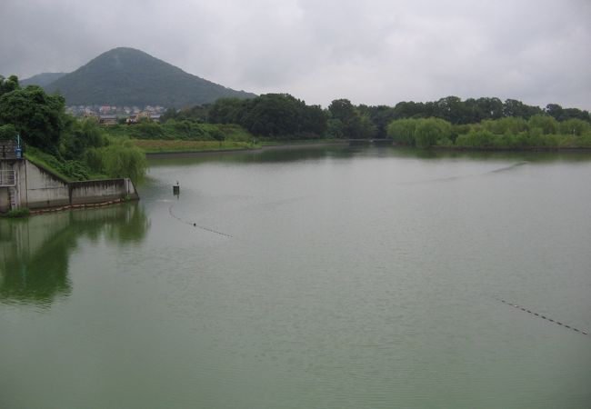 一度池の全容をイオン綾川の北側から見てみてください