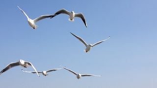 意外なお出迎えに感激びっくり