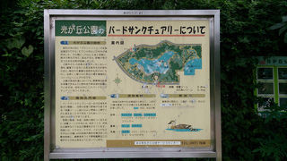 バードサンクチュアリー By Yart 光が丘公園のクチコミ フォートラベル バードサンクチュアリー By Yart 光が丘公園のクチコミ フォートラベル