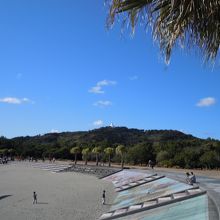 散歩する人が多いです