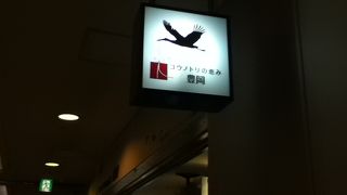 日本で最後の野生のコウノトリが生息しているそうです。