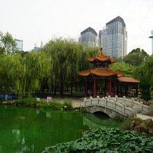 蓮花池。中国風庭園のイメージ