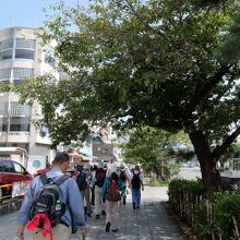 鎌倉駅を出て段葛へ