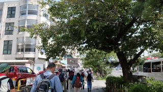 修復工事が始まる段葛