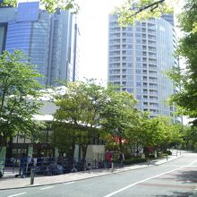 緑に包まれている