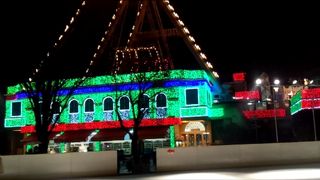 思わず見とれてしまいました?