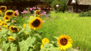 二回も行ったけどまだまだ行きたい！