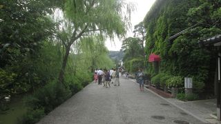 静かな流れと柳並木に癒されます