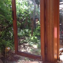 緑がまぶしい店内奥の庭に面した席