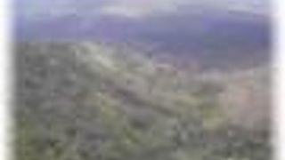 名前が強烈ですが‥