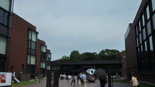 いつも多くの企画展が見られます