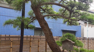 品川旧東海道沿いにある　街道松の広場に行ってみた！ 