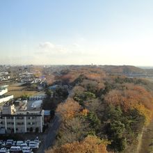 展望台からの景色
