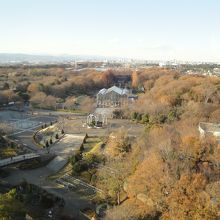 展望台からの景色