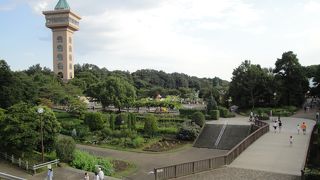 丹沢や横浜が望める展望台